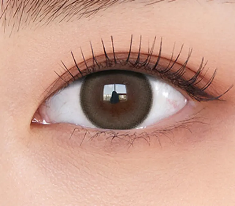 무드나잇 원데이 무드브라운